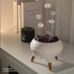 Dynamic Jellyfish Air Humidifier